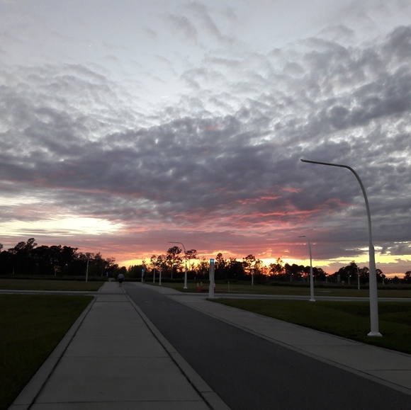 Meet your Posher, Savannah - Picture 4 of 4